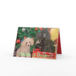 Cookie & Ginger Celebrate Christmas cards