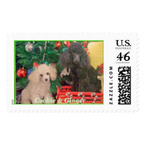 Cookie & Ginger postage by annienbart Cookie & Ginger postage
