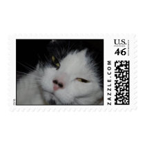 Cookie Monster postage by maniraptor Cookie Monster postage