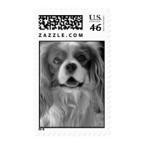 Cookie the King Charles Postage Stamp