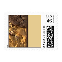 Cookie Time Postage Stamps