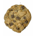 Cookie t-shirts