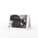 cookielove