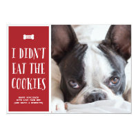 Cookies | Holiday Photo Card