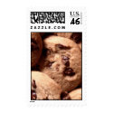 CookiesII postage by mjustice98 CookiesII postage