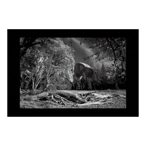 Cook's Meadow Monochrome print