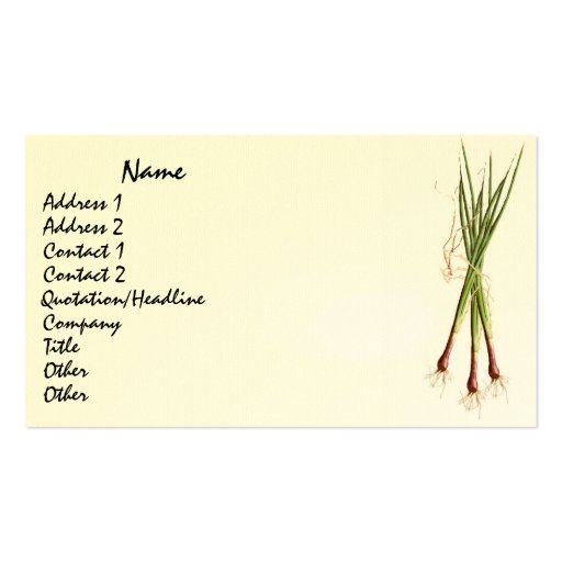 Cooks' Onions Business Card (front side)