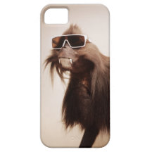 Cool animals in sunglasses. iPhone 5 cases