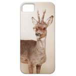 Cool animals in sunglasses. iPhone 5 covers