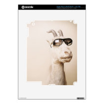 Cool animals in sunglasses.