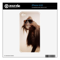 Cool animals in sunglasses.