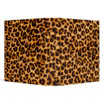 Cool Art Binder for School or Work or Whatever!
