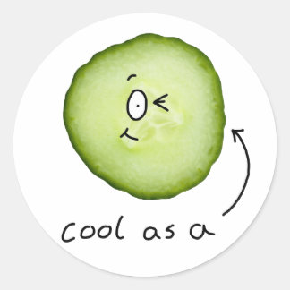 cool_as_a_cucumber_sticker-r506c83ee2a93470fa24dca27748585b1_v9waf_8byvr_324.jpg
