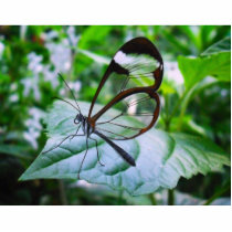 cool as glass photo sculptures by dawnmcininch cool as glass photo sculptures