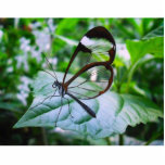 cool as glass photo sculptures