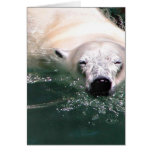 Cool bear greeting card