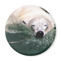 Cool Bear magnets by toots1 Cool Bear magnets