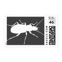 Cool beetle bug gray and white Halloween stamp