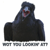 Cool Black Raven Wildlife sculpted Gift Item Photo Cutout