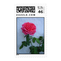 COOL BLOOM postage by Jack_of_Arts COOL BLOOM postage