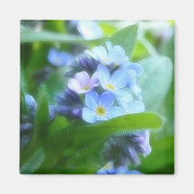 Cool Blue Forget Me Nots Fridge Magnets