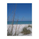 Cool Blue Postcard