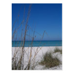 Cool Blue Postcard