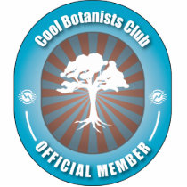 Cool Botanists Club photo sculptures by busybees Cool Botanists Club photo sculptures