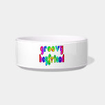Cool Boyfriends : Groovy Boyfriend Cat Water Bowls