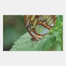 Cool Butterfly Rectangle Sticker