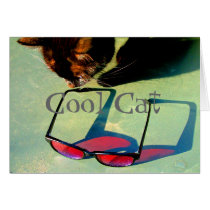 Cool cat cards