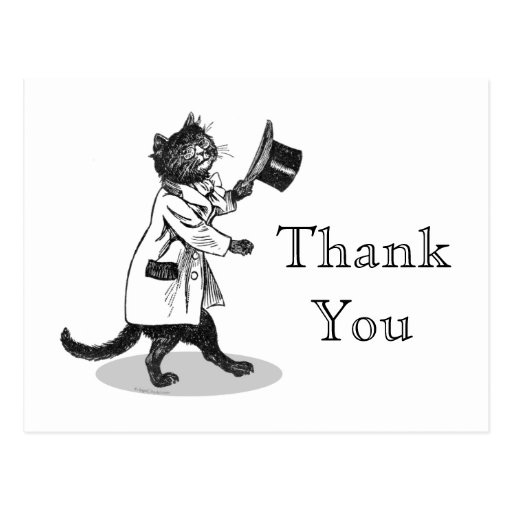 Cool Cat Custom Thank You Postcard | Zazzle