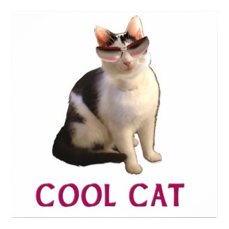 Cool Cat Posters