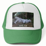 Cool Cat tiger hat