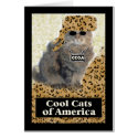 Cool Cats of America cards by dndartstudio Cool Cats of America cards