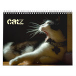 Cool Catz Calendar