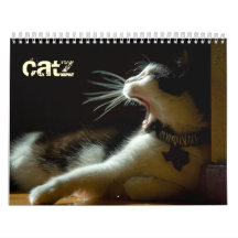 Cool Catz Calendar