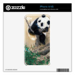 Cool chinese cute sweet fluffy panda bear tree art skins for iPhone 4