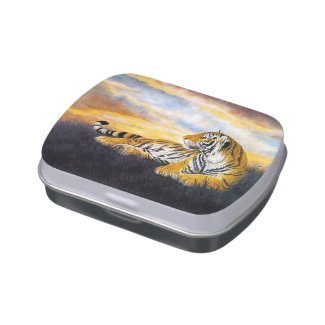 Cool chinese fluffy cat tiger rest vintage art jelly belly candy tin