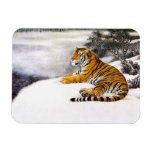 Cool chinese fluffy tiger rest snow cliff winter magnet