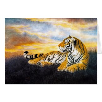 Cool chinese fluffy tiger rest sunset meadow art cards