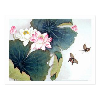 cool chinese lotus leaf pink flower butterfly art post card