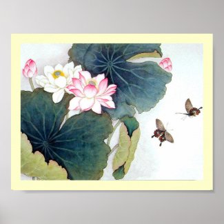 cool chinese lotus leaf pink flower butterfly art poster