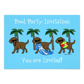 Cool Chocolate Labradors Pool Party