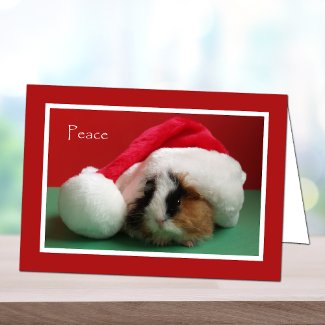 Cool Christmas Guinea Pig Card card