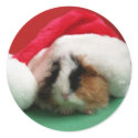 Cool Christmas Guinea Pig Stickers