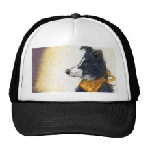 Cool cowboy collie carefully keeps an eye... hats