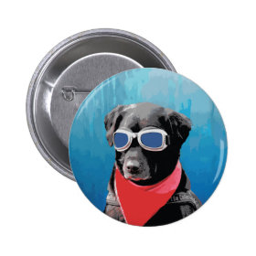 Cool Dog Black Lab Red Bandana Blue Goggles Buttons