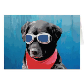 Cool Dog Black Lab Red Bandana Blue Goggles Greeting Card
