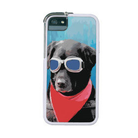 Cool Dog Black Lab Red Bandana Blue Goggles iPhone 5 Case